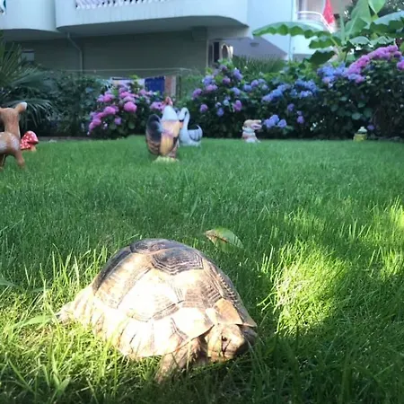 בית הארחה джорджия 3*