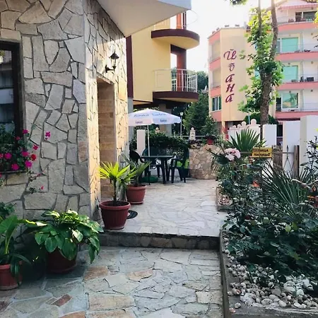 джорджия 3* קיטן