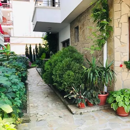 джорджия קיטן