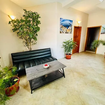 джорджия קיטן