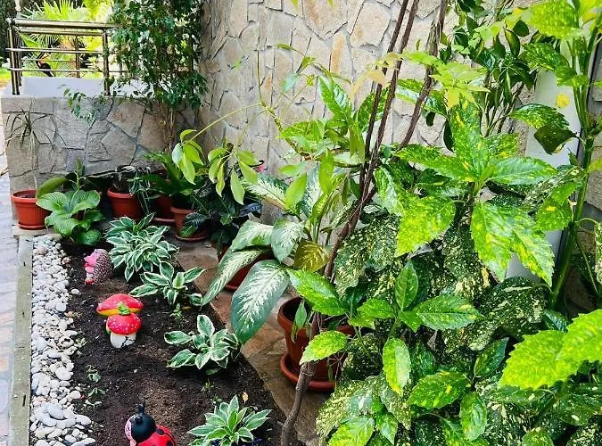 джорджия 3* 키텐